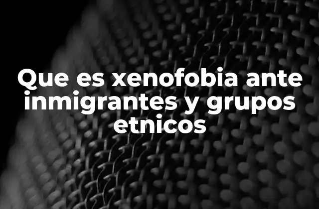 Que es Xenofobia ante Inmigrantes y Grupos Etnicos