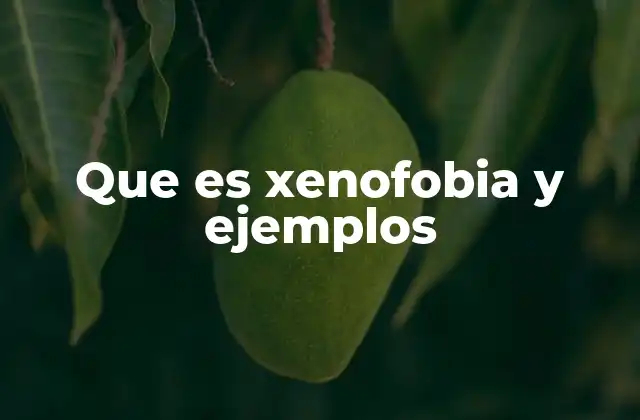 Cómo se manifiesta la xenofobia en la sociedad