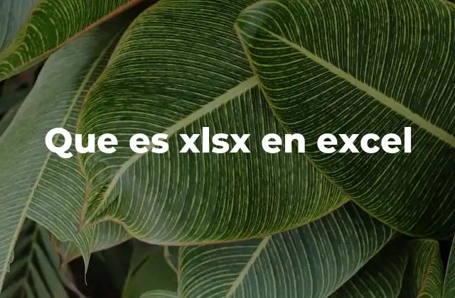Que es Xlsx en Excel