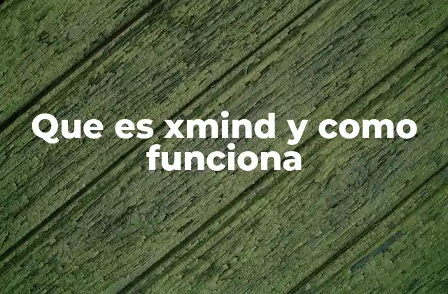 Que es Xmind y como Funciona