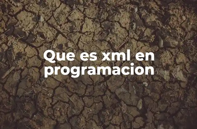 ¿Cómo funciona XML en el desarrollo de software?