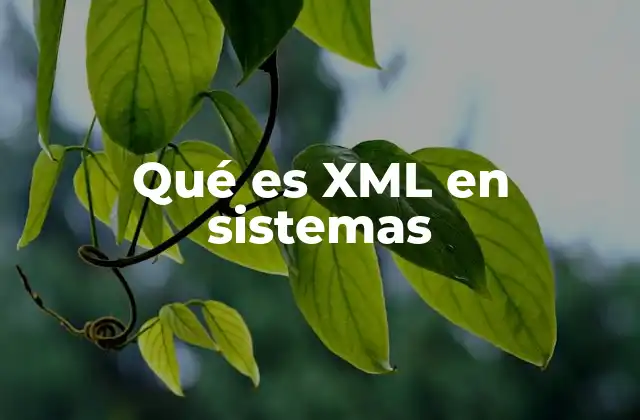 Qué es Xml en Sistemas