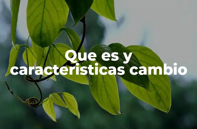 Que es y Caracteristicas Cambio 2 El impacto del cambio en diferentes contextos