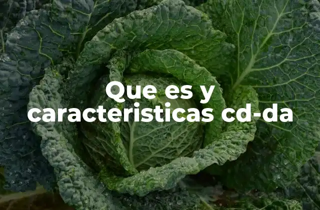 Que es y Caracteristicas Cd-da