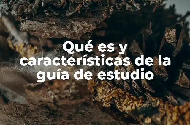 Qué es y Características de la Guía de Estudio