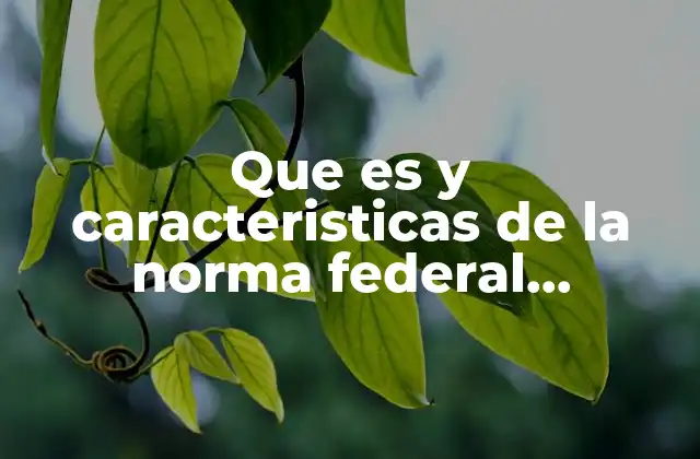 Que es y Caracteristicas de la Norma Federal Mexicana