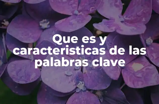 Que es y Caracteristicas de las Palabras Clave