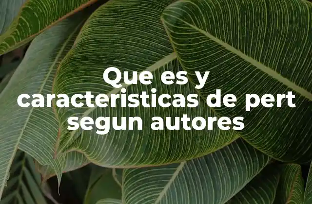 Que es y Caracteristicas de Pert Segun Autores