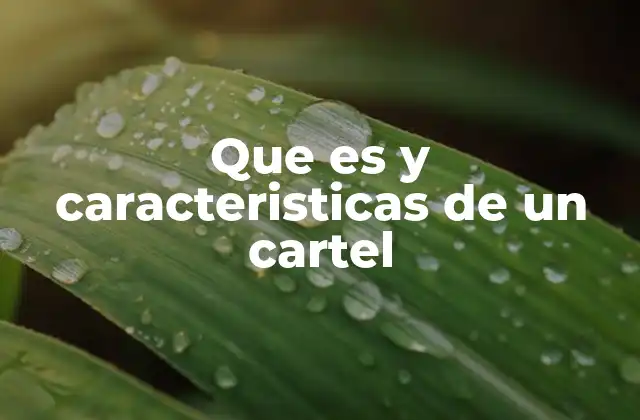 Que es y Caracteristicas de un Cartel