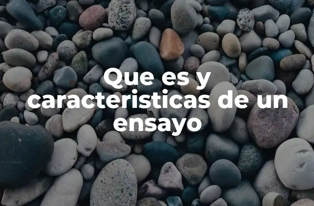 Que es y Caracteristicas de un Ensayo