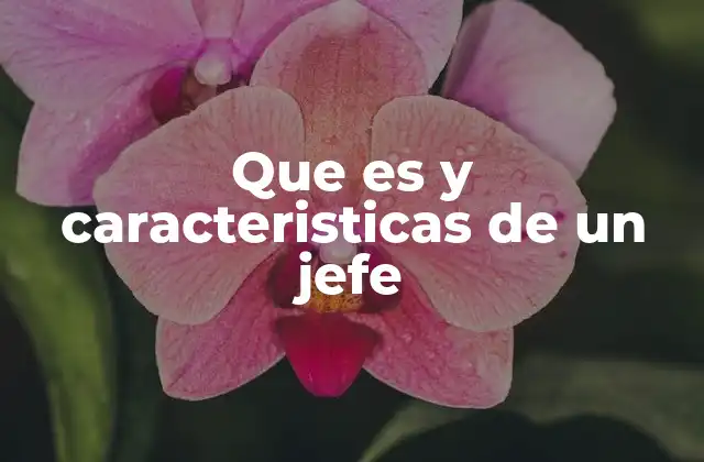 Que es y Caracteristicas de un Jefe