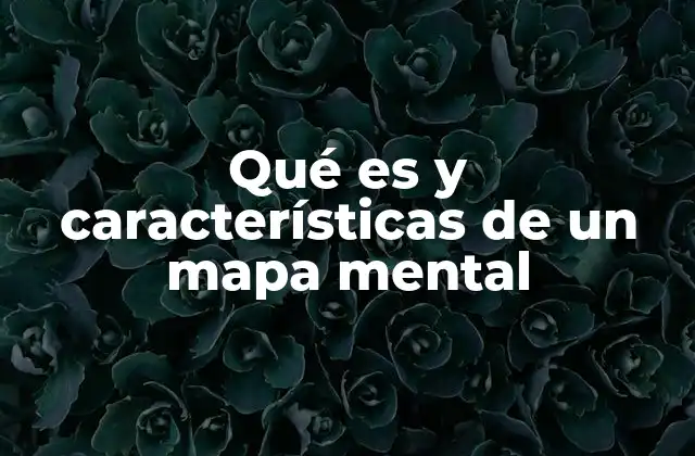Qué es y Características de un Mapa Mental