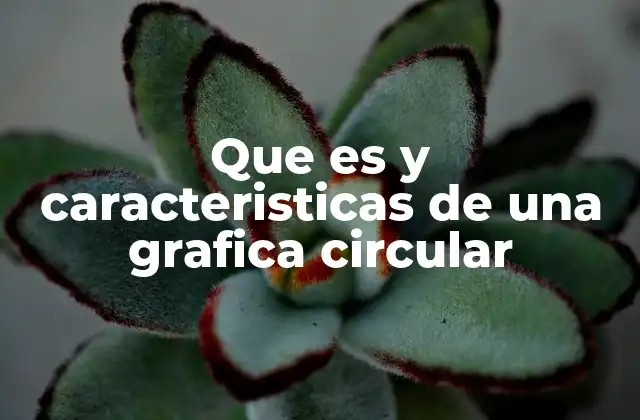 Que es y Caracteristicas de una Grafica Circular