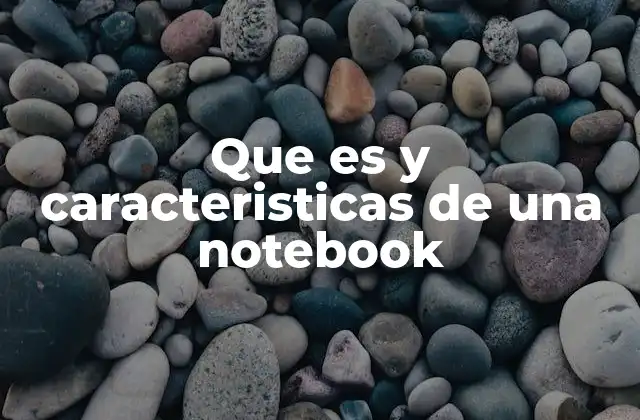 Que es y Caracteristicas de una Notebook