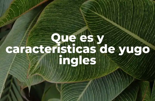 Que es y Caracteristicas de Yugo Ingles