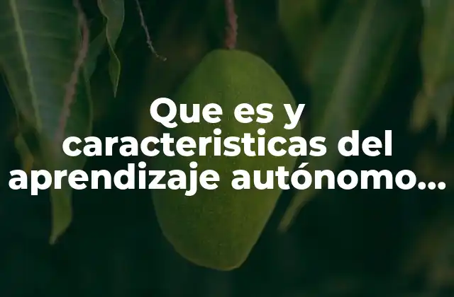 Que es y Caracteristicas Del Aprendizaje Autónomo Prezi