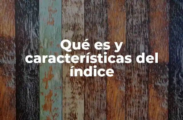 Qué es y Características Del Índice