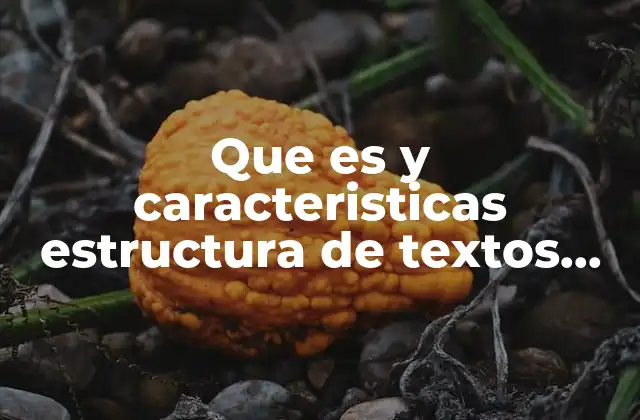Que es y Caracteristicas Estructura de Textos Argumentativos