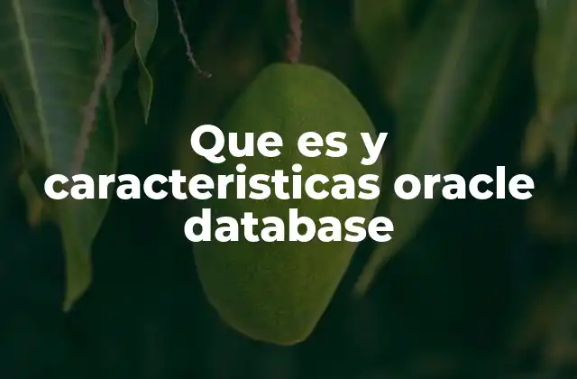 Que es y Caracteristicas Oracle Database