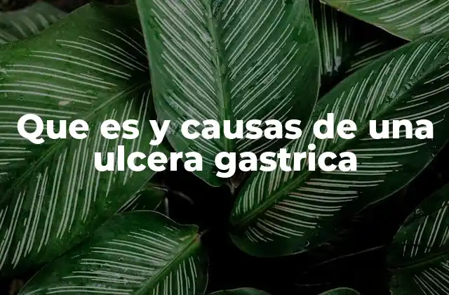 Que es y Causas de una Ulcera Gastrica