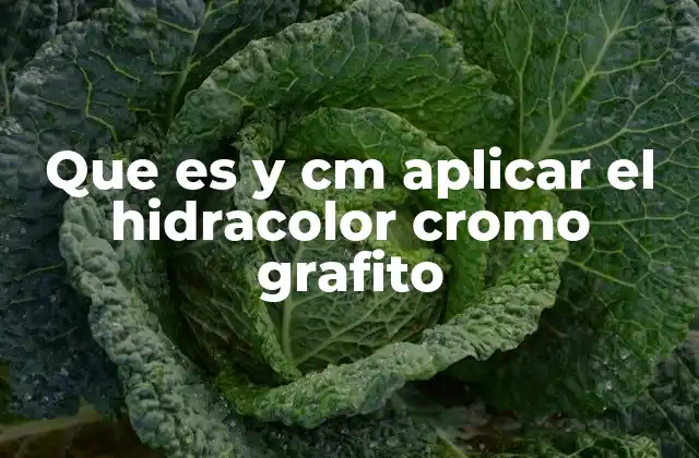Que es y Cm Aplicar el Hidracolor Cromo Grafito
