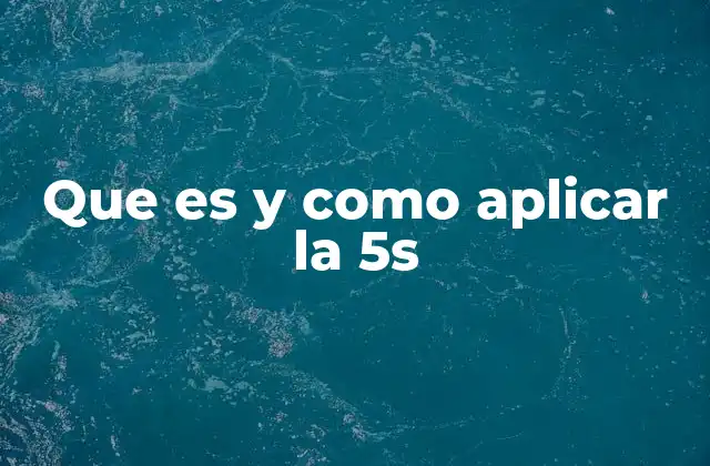 Que es y como Aplicar la 5s