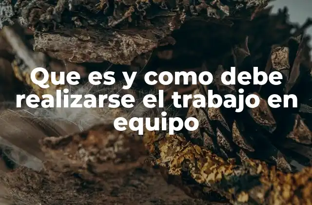 Que es y como Debe Realizarse el Trabajo en Equipo