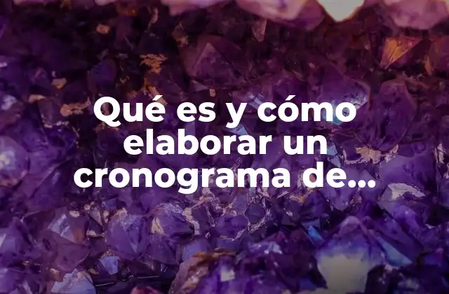 Qué es y Cómo Elaborar un Cronograma de Actividades