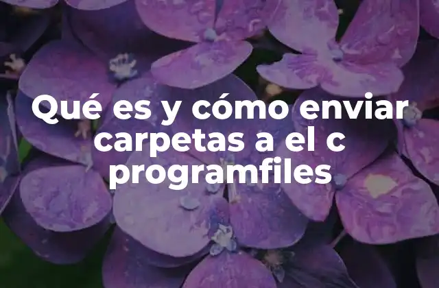 Qué es y Cómo Enviar Carpetas a el C Programfiles