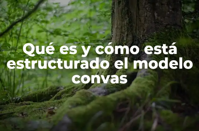 Qué es y Cómo Está Estructurado el Modelo Convas
