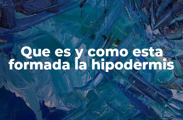 La hipodermis y su importancia en la anatomía humana