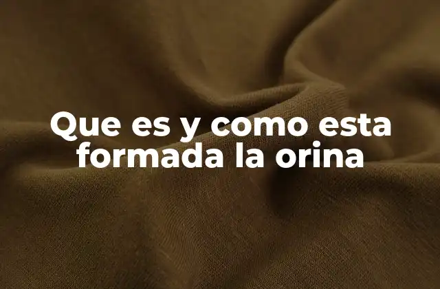 Que es y como Esta Formada la Orina