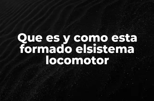 Que es y como Esta Formado Elsistema Locomotor