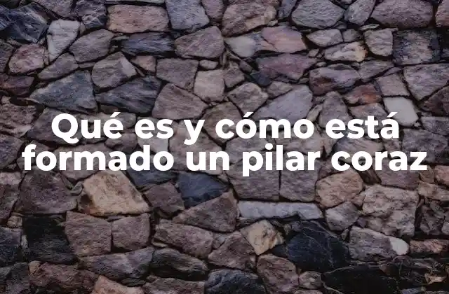 Qué es y Cómo Está Formado un Pilar Coraz