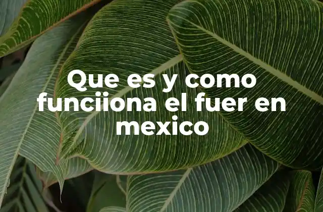 Que es y como Funciiona el Fuer en Mexico