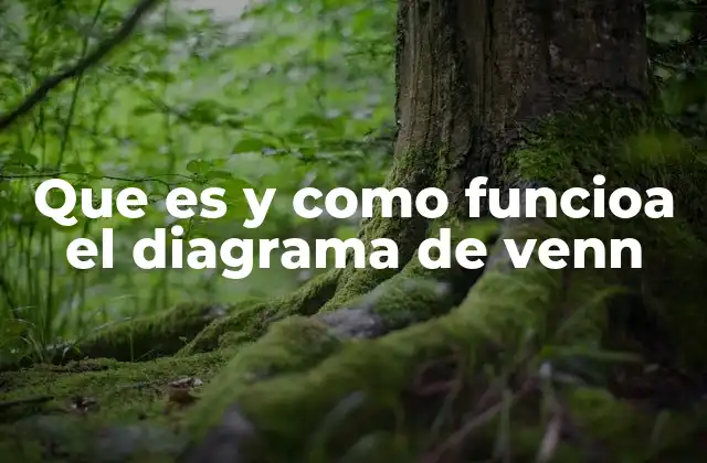Que es y como Funcioa el Diagrama de Venn