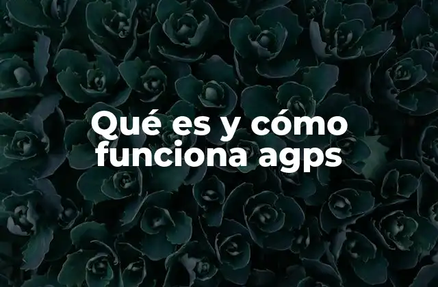 Qué es y Cómo Funciona Agps