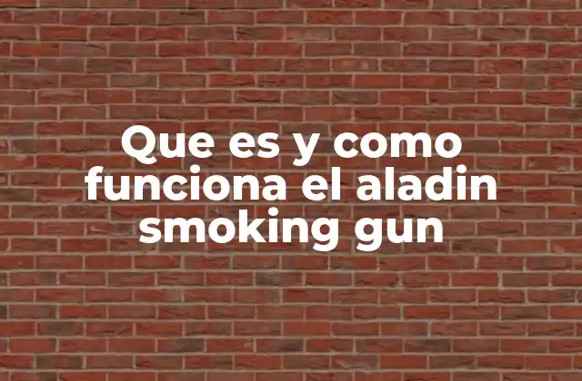Que es y como Funciona el Aladin Smoking Gun