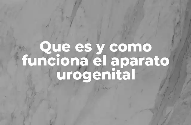 Que es y como Funciona el Aparato Urogenital