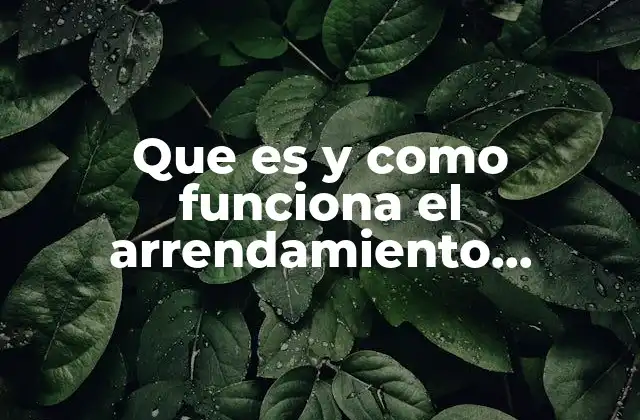 Que es y como Funciona el Arrendamiento Financiero