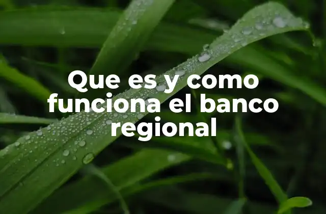 El papel de los bancos regionales en el desarrollo económico local