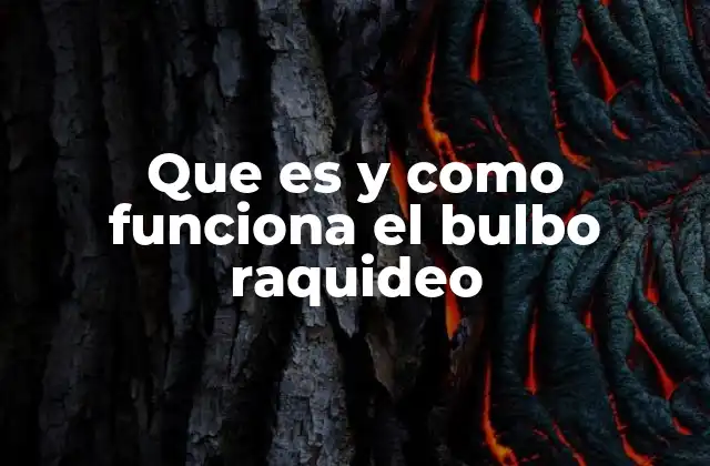Que es y como Funciona el Bulbo Raquideo
