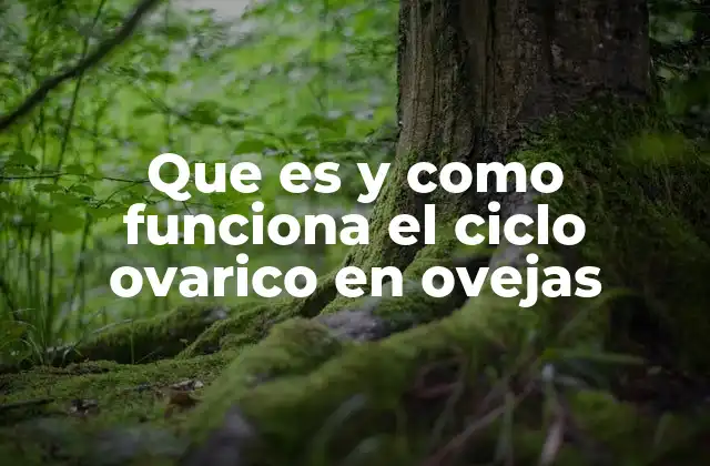 Que es y como Funciona el Ciclo Ovarico en Ovejas 2 El papel del sistema hormonal en el ciclo reproductivo de la oveja