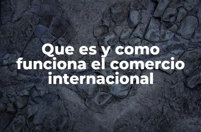 Que es y como Funciona el Comercio Internacional