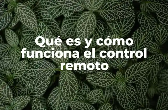Qué es y Cómo Funciona el Control Remoto