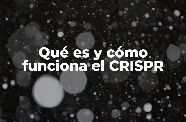Qué es y Cómo Funciona el Crispr 2 La base biológica detrás de la edición genética