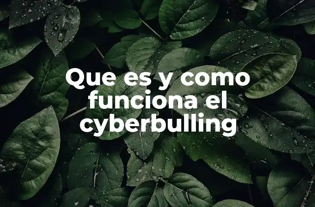 Que es y como Funciona el Cyberbulling