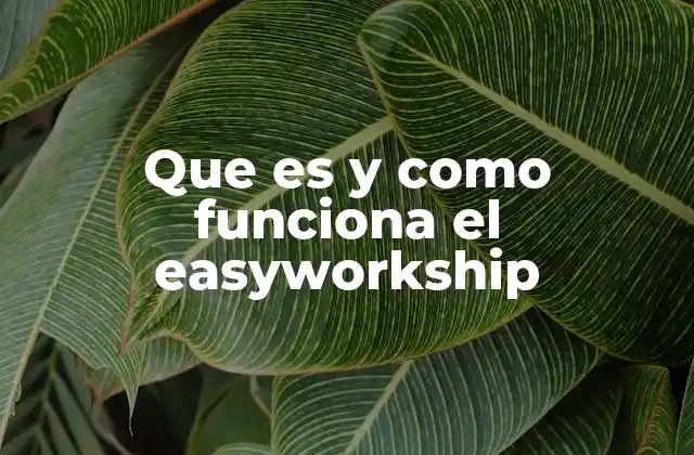 Que es y como Funciona el Easyworkship