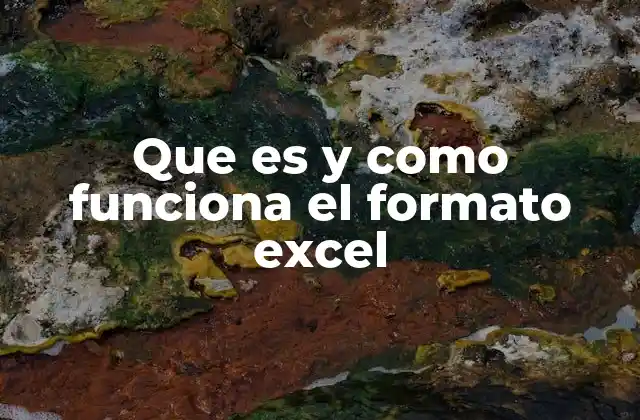 Que es y como Funciona el Formato Excel