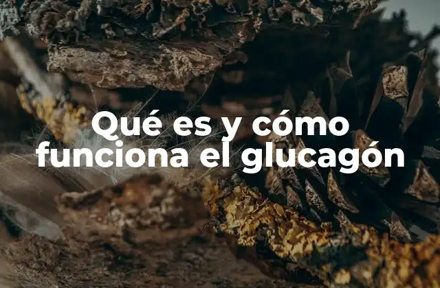 El papel del glucagón en el metabolismo energético